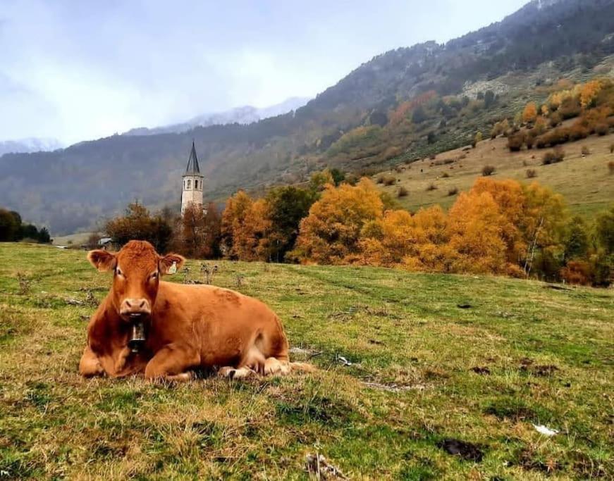 בוסוסט Mcastet, Casita Aranesa En El Valle De Aran מראה חיצוני תמונה